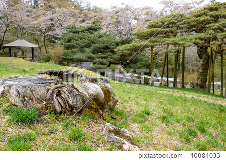 Shinmatsu Park Iwate Prefecture 40084033