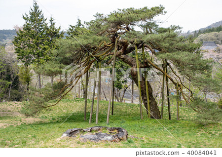 Kasamatsu Iwate Prefecture Kasamatsu Iwate Prefecture 40084041