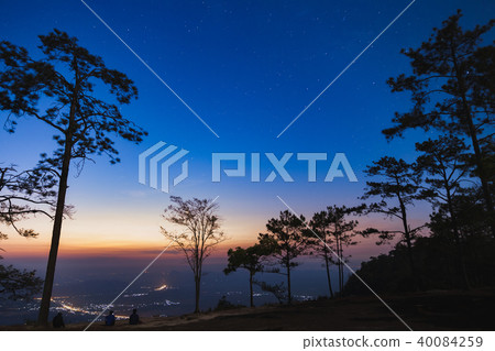 Silhouette people and pine trees with sunrise. 40084259