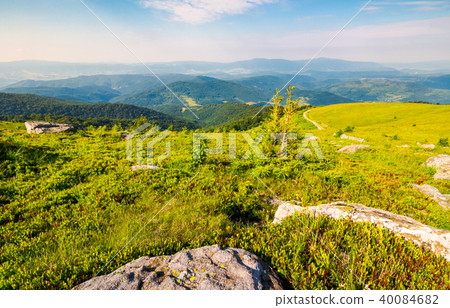 landscape in Carpathian high mountain ridge 40084682