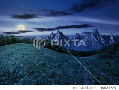 forest on grassy hillside in tatras at night forest on grassy hillside in tatras at night 40084725