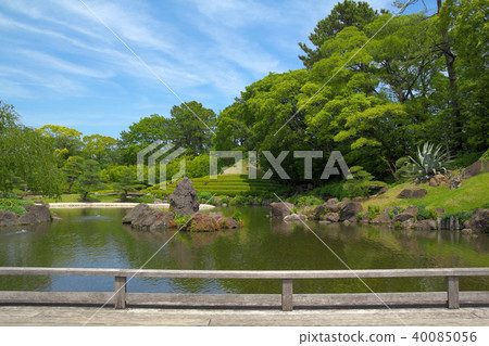 Fresh green leaves mountain garden 40085056
