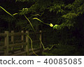 螢火蟲的軌跡 螢火蟲的軌跡 40085085