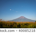 從草甸看見的夏天富士 從草甸看見的夏天富士 40085218