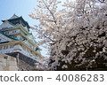 大阪城的春天 40086283