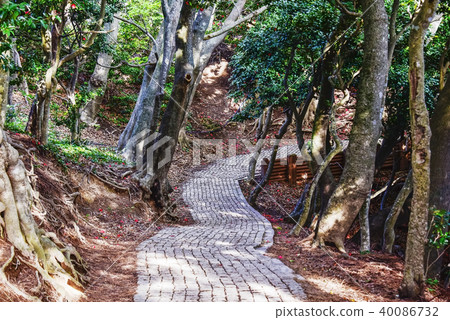 走道,鬱陵郡,慶北 走道,鬱陵郡,慶北 40086732