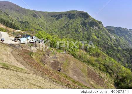 Ulleung County, Gyeongbuk Province 40087244