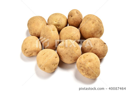 Red soil new potato 40087464