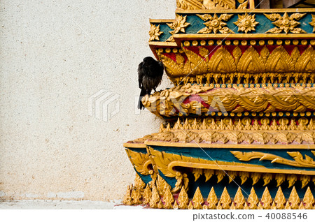 a crow on the temple, wat thai a crow on the temple, wat thai 40088546