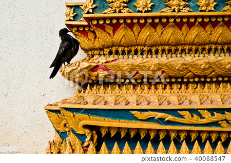 a crow on the temple, wat thai a crow on the temple, wat thai 40088547