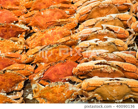 清蒸螃蟹 清蒸螃蟹 40090136