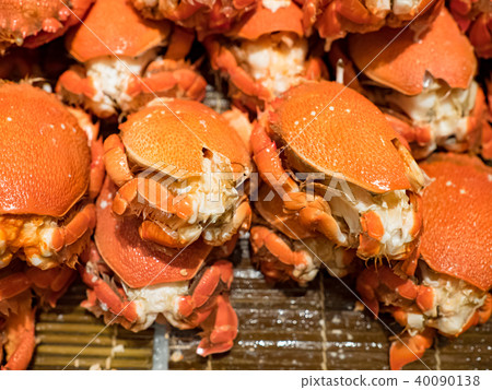 清蒸螃蟹 清蒸螃蟹 40090138