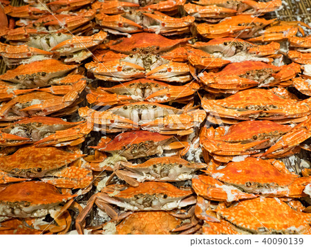 清蒸螃蟹 清蒸螃蟹 40090139