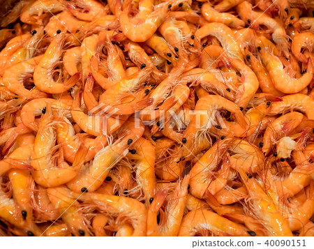 清蒸螃蟹 清蒸螃蟹 40090151