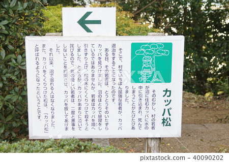 雲魚碗 40090202