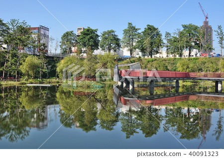 秋紅谷生態公園 公園 城市 台灣 台中 Taichung Maple Garden 40091323