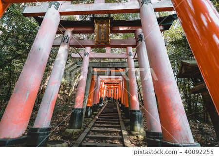 Fushimi Inari Shrine, shrine, Torii 40092255