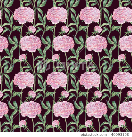 Hand Drawn seamless pattern of Peonies - Stock Illustration [40093108 ...