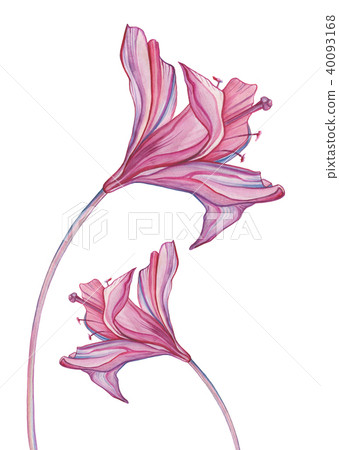 Hand Drawn Abstract Flowers Hand Drawn Abstract Flowers 40093168