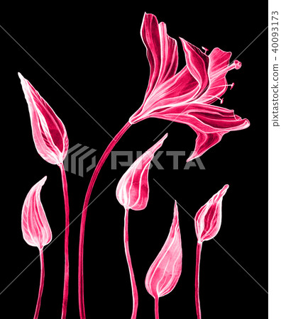 Hand Drawn Abstract Flowers Hand Drawn Abstract Flowers 40093173