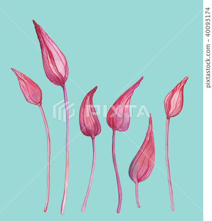 Hand Drawn Abstract Flowers 40093174