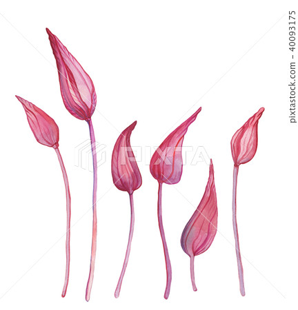 Hand Drawn Abstract Flowers 40093175