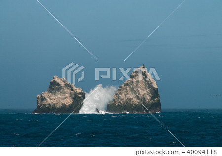 The Shag Rocks The Shag Rocks 40094118