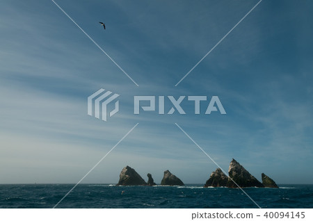 The Shag Rocks 40094145