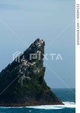 The Shag Rocks The Shag Rocks 40094152