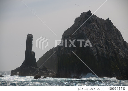 The Shag Rocks 40094158