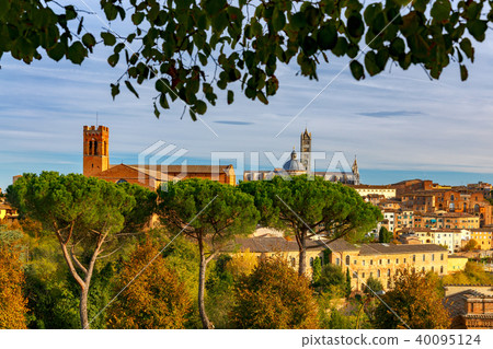 Siena. Cathedral on a sunny day. 40095124