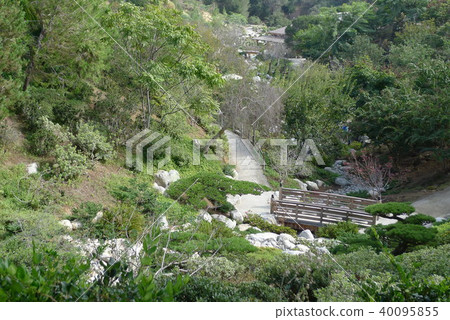 View of the Japanese Friendship Garden in San Diego 40095855