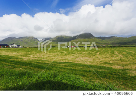 Norway landscape with meadows, Lofoten islands 40096666