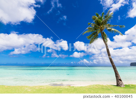 熱帶海灘關島 熱帶海灘關島 40100045