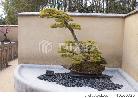 Goryoba Goryoba 40100329