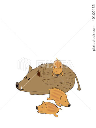 野豬父母和孩子麵臨左 40100483