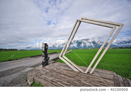 台灣 台東 池上伯朗大道 Taitung Mr. Brown Avenue 40100908