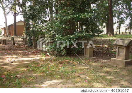 Womanizing shrine Womanizing shrine 40101057