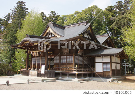 Womanizing shrine 40101065