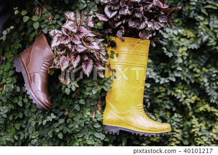 yellow rubber boot hanging and green leaves. yellow rubber boot hanging and green leaves. 40101217