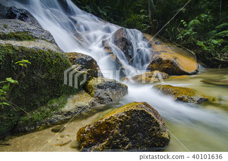 cascading tropical waterfall. wet and mossy rock cascading tropical waterfall. wet and mossy rock 40101636