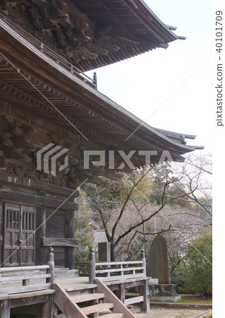 Shibayama Nishio Kannonji temple 40101709