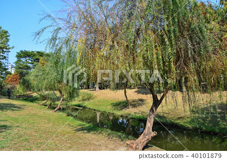 巴克禮紀念公園 公園 台灣 台南 Tainan Barclay Memorial Park 40101879