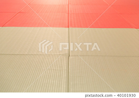 Dojo tatami 40101930