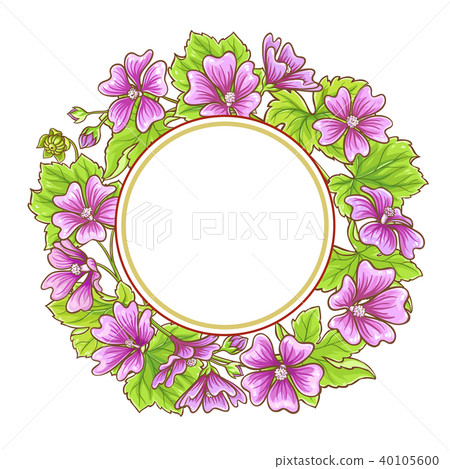 malva vector frame 40105600