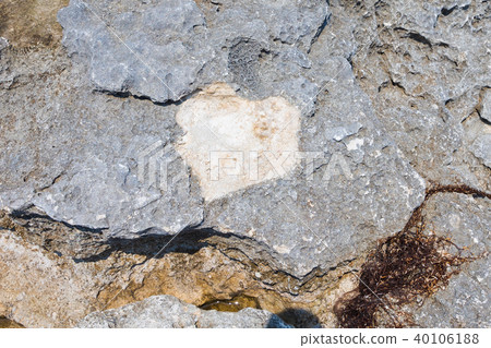 A raised reef island with a heart shape found on a beach made of coral limestone A raised reef island with a heart shape found on a beach made of coral limestone 40106188