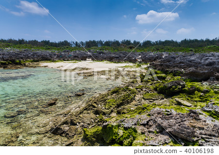 有珊瑚起源的石灰石海岸線的一個令人振奮的珊瑚礁海島 40106198