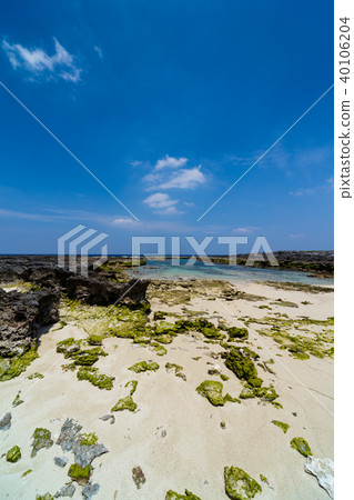 An uplifting reef island with coral-sourced limestone beaches and beaches An uplifting reef island with coral-sourced limestone beaches and beaches 40106204