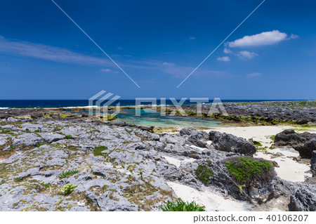 有珊瑚起源的石灰石海岸線的一個令人振奮的珊瑚礁海島 有珊瑚起源的石灰石海岸線的一個令人振奮的珊瑚礁海島 40106207
