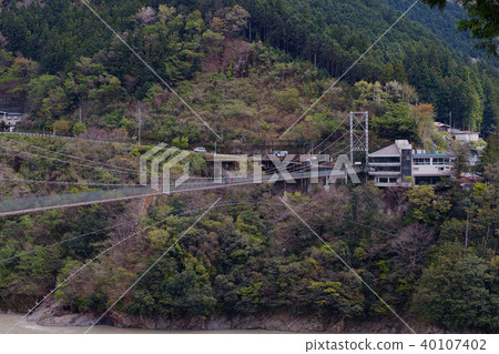 [Nara Prefecture/Sightseeing Spot] Tanize Suspension Bridge (Tanise Suspension Bridge/Yase Bridge) 40107402